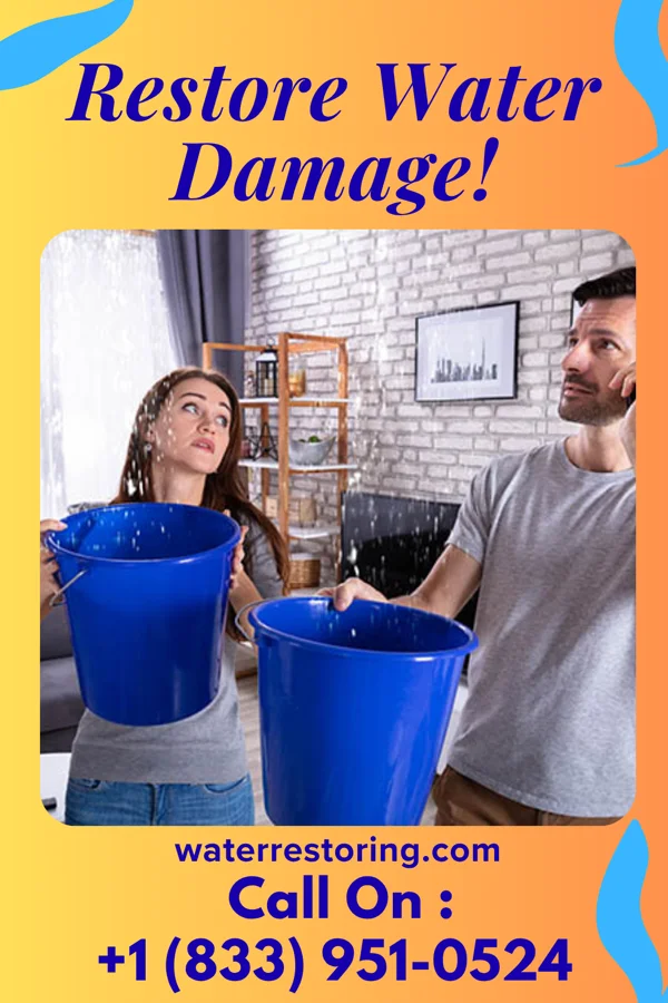 water restoration Lightning Water Works & Associates Bondville