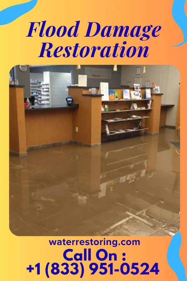 Flood Damage Restoration in Bondville, IL
