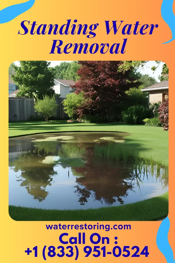 Standing Water Removal in Bondville, IL